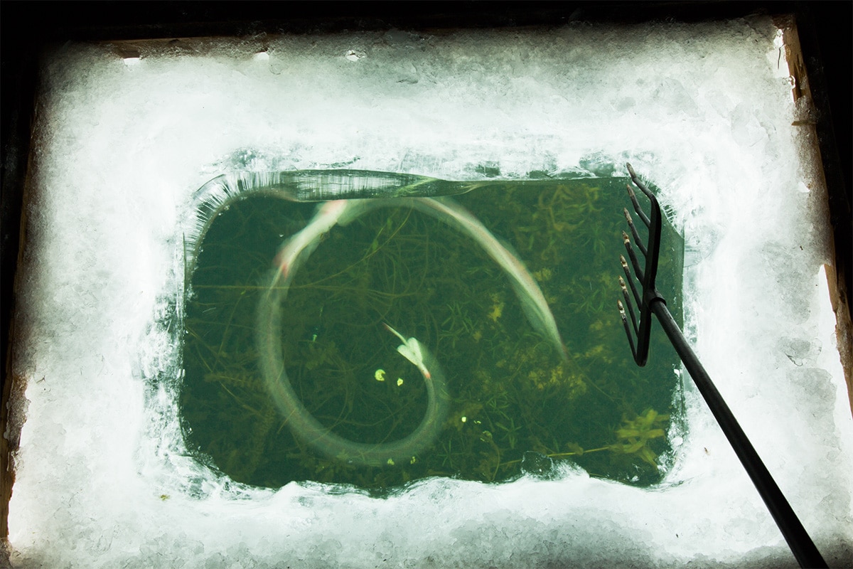 ice-fishing-decoy-through-ice