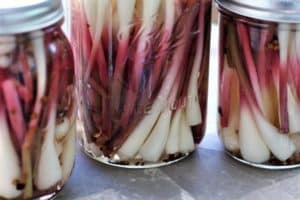 Pickled Ramps (wild onions)