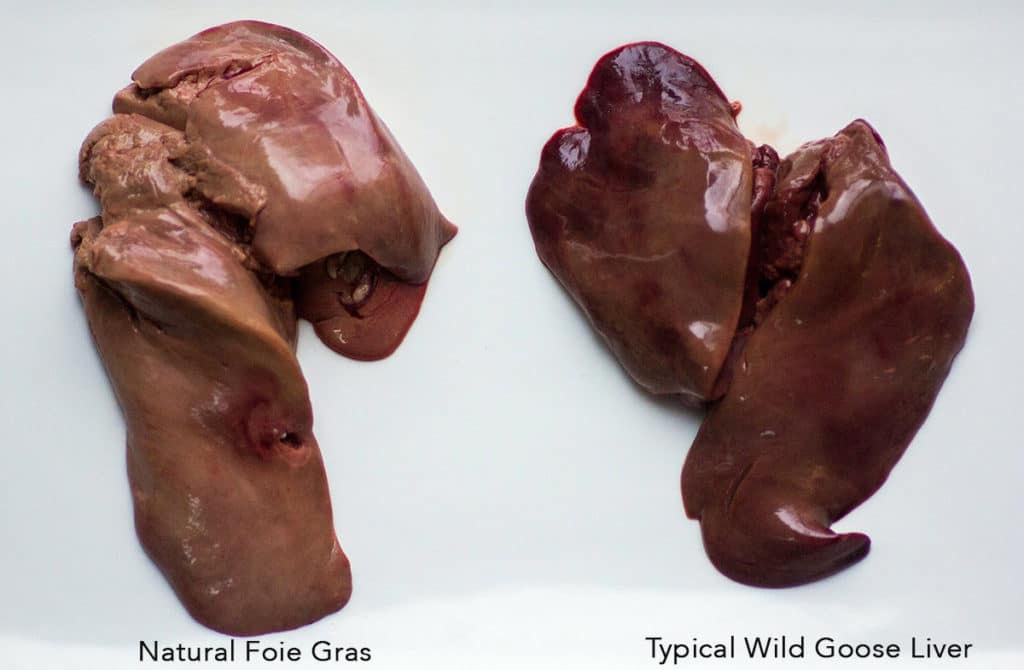 typical goose liver vs natural foie gras