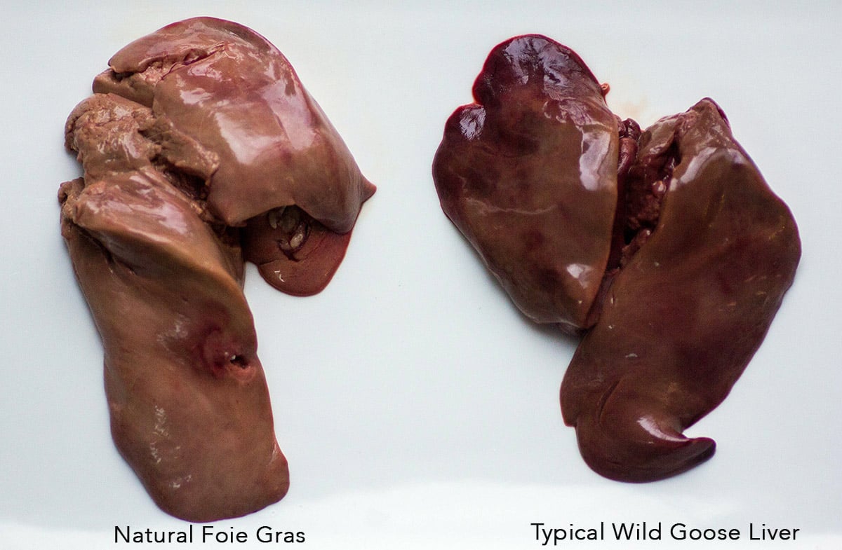 foie-gras-vs-natural-liver-wild-goose.jpg