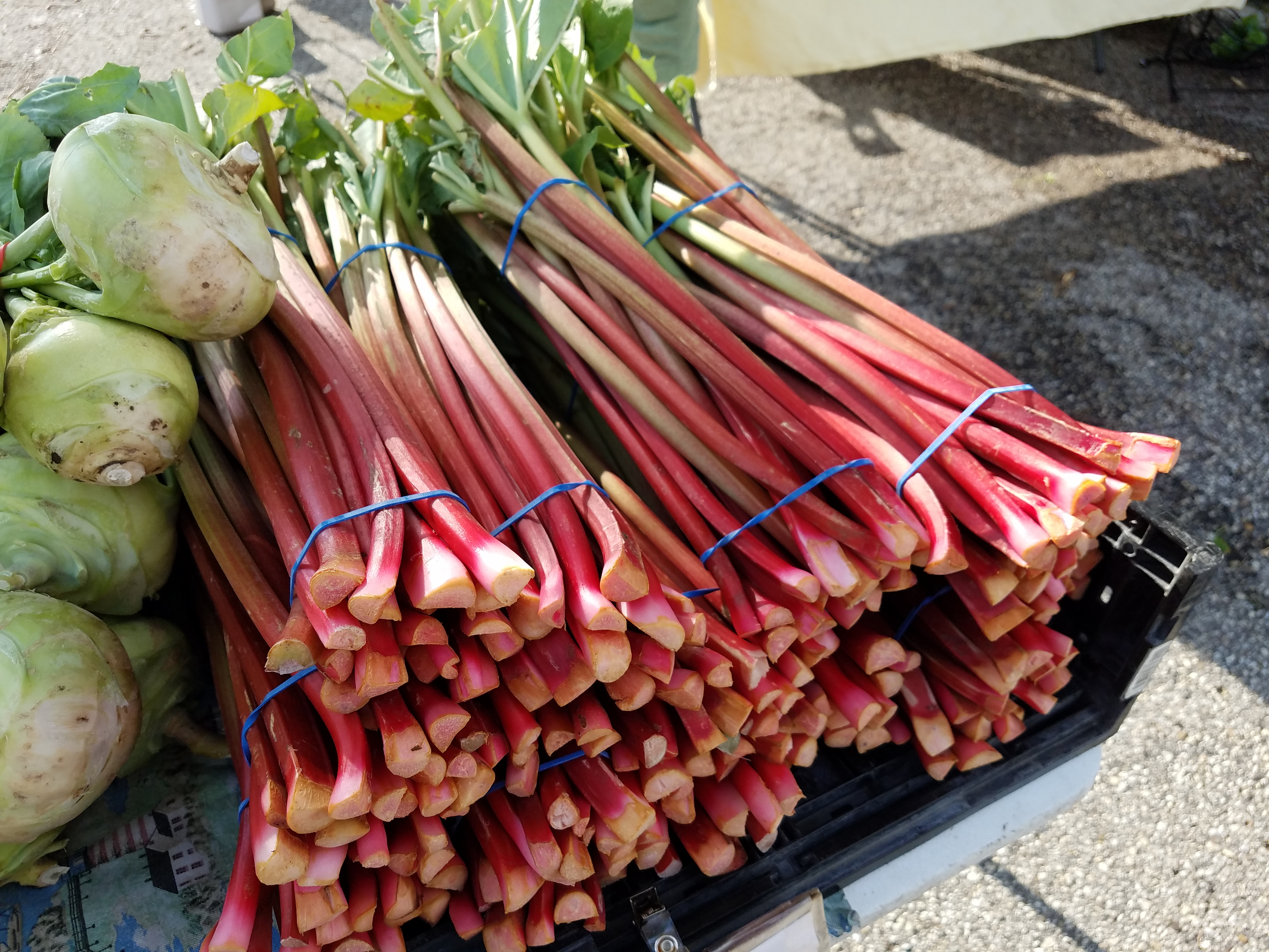 rhubarb-at-the-farmers-market