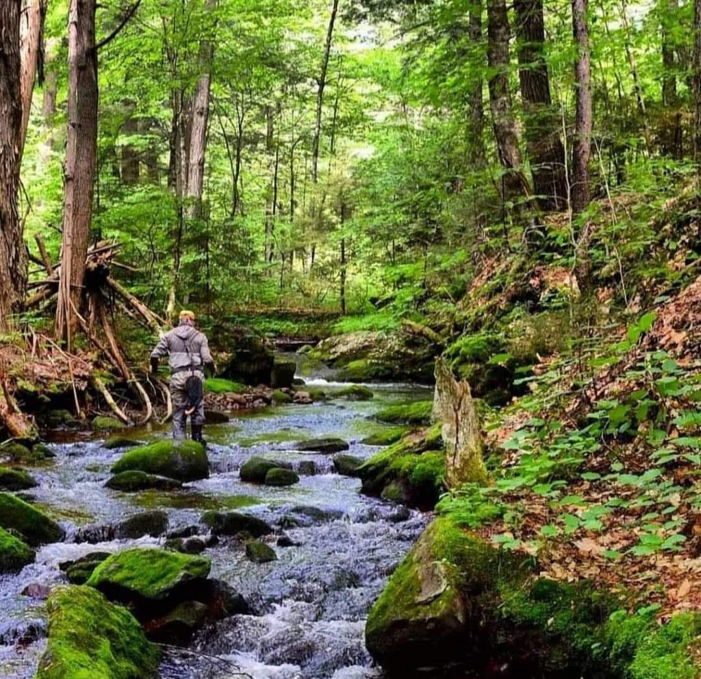 Mark Usyk - NY Fly Angler - Outdoor Feast Podcast by Modern Carnivore