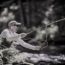 Mark Usyk - NY Flyfisherman - Outdoor Feast Podcast by Modern Carnivore