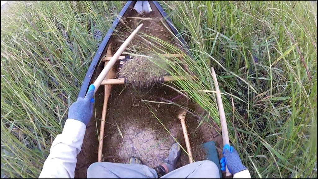 Harvesting wild rice in a canoe - Modern Carnivore