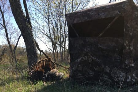 Using a bling for turkey hunting