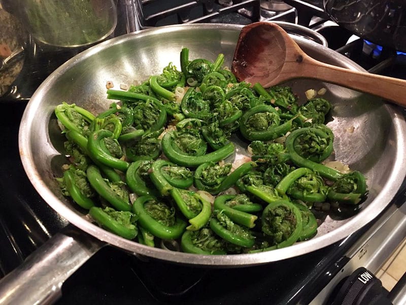 Foraged-fiddleheads-sauteeing-in-pan
