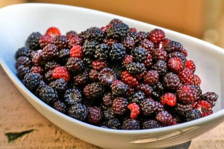 Black Cap Raspberries