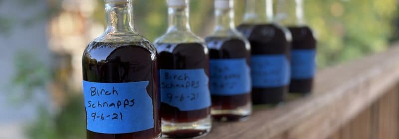 Bottled Birch Schnapps Recipe