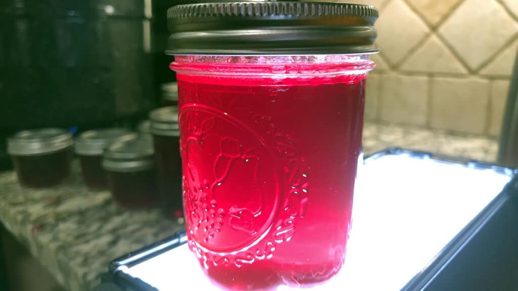 Highbush Cranberry Jelly in a jar - Modern Carnivore